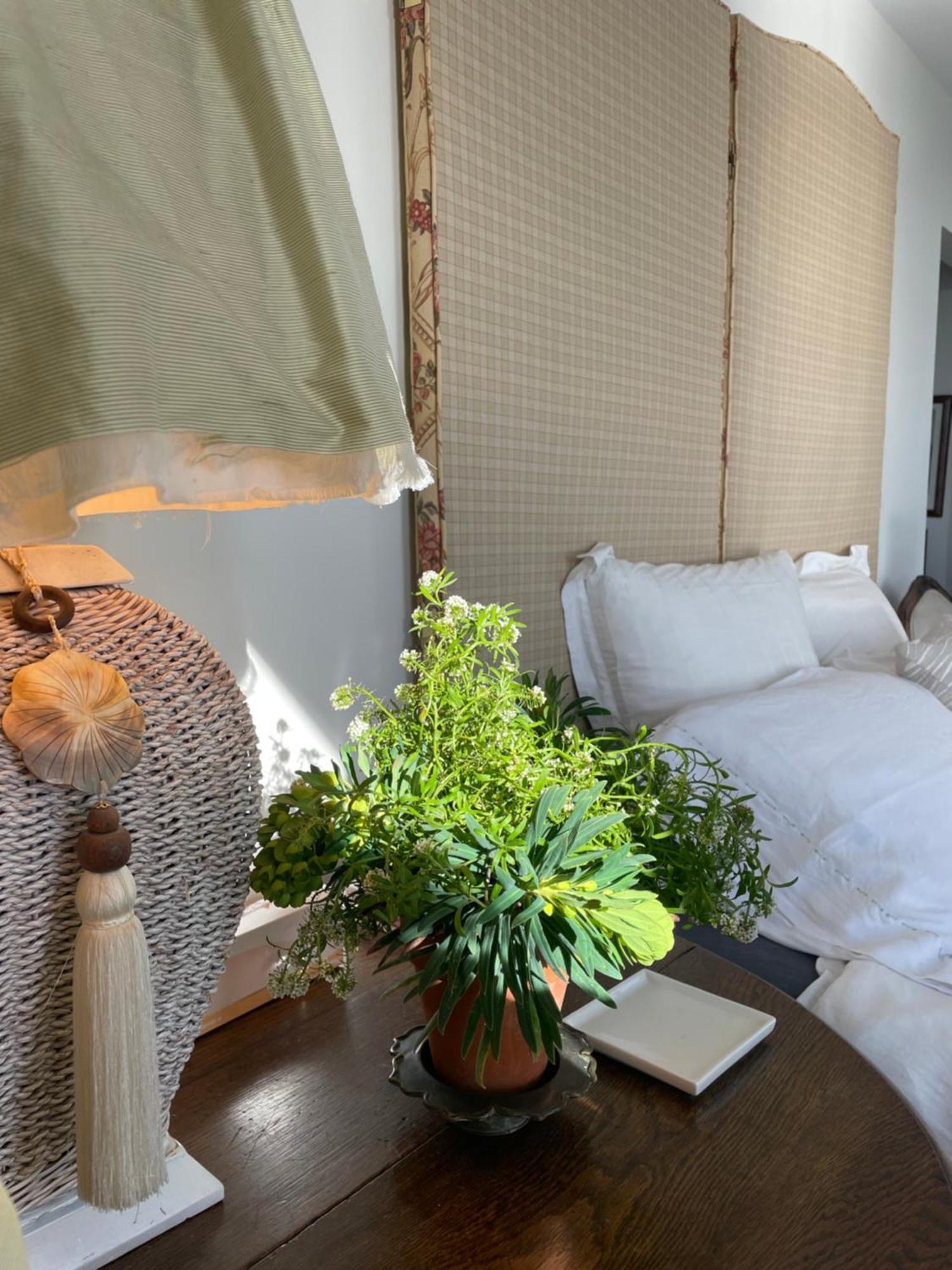 340 Deg Alps & Sea Bed & Breakfast Christchurch Luaran gambar